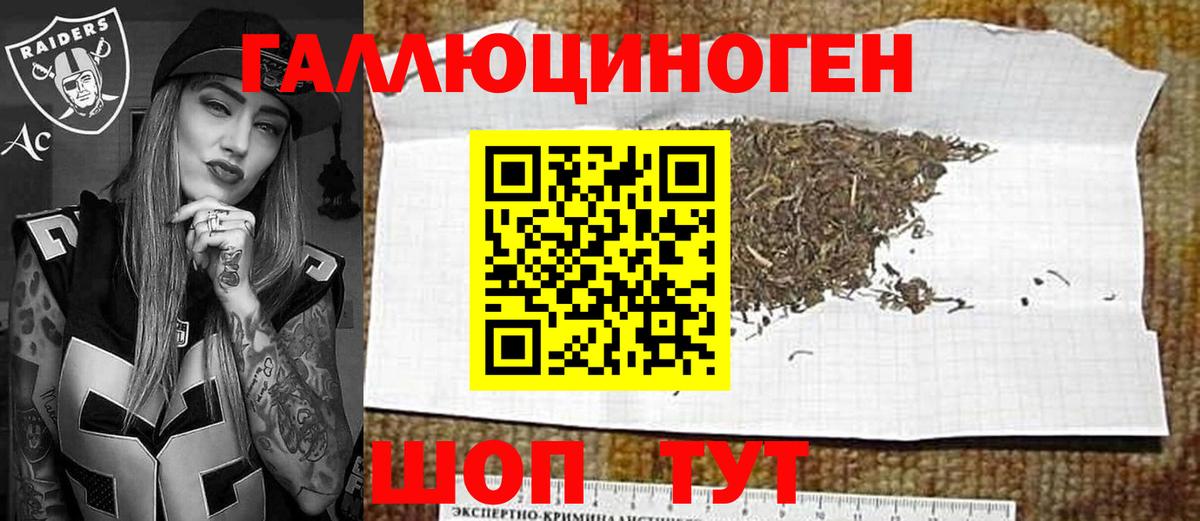 Псилоцибиновые грибы прущие грибы Чайковский