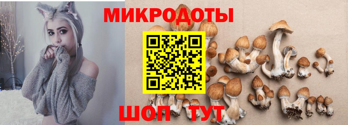 даркнет сайт  Псилоцибиновые грибы мухоморы  Вход с VPN  Чайковский 
